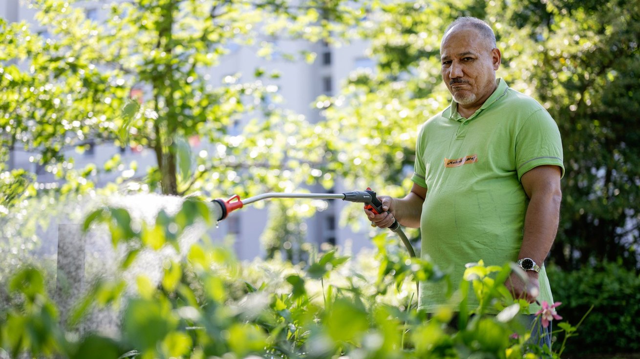 Ein Mann gießt mit einem Gartenschlauch grüne Pflanzen.