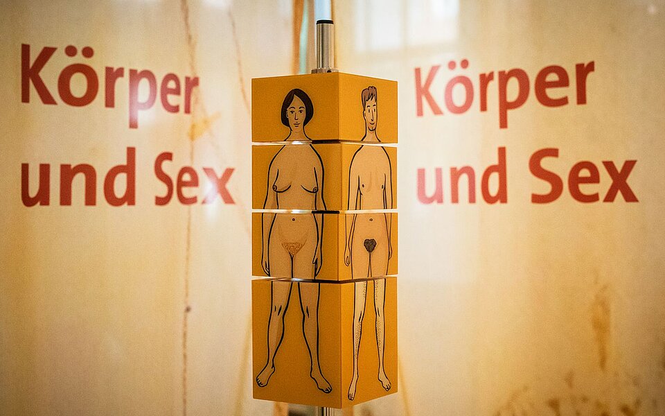 Drehbares Würfelelement aus der Ausstellung „Echt mein Recht!“ mit gezeichneten nackten Körpern einer Frau und einer nichtbinären Person. Im Hintergrund steht in roter Schrift: „Körper und Sex“. Das Foto wurde 2021 bei der Ausstellung in Hamburg aufgenommen.