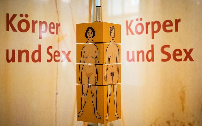 Drehbares Würfelelement aus der Ausstellung „Echt mein Recht!“ mit gezeichneten nackten Körpern einer Frau und einer nichtbinären Person. Im Hintergrund steht in roter Schrift: „Körper und Sex“. Das Foto wurde 2021 bei der Ausstellung in Hamburg aufgenommen.