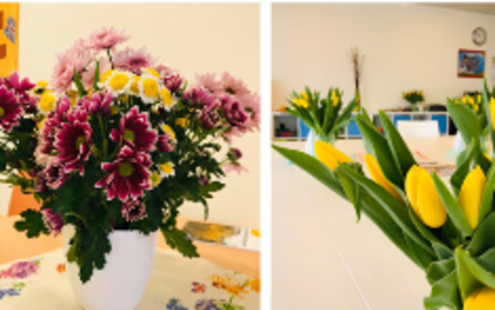 Eine bunte Blumenspende für unser Haus Beerboom 