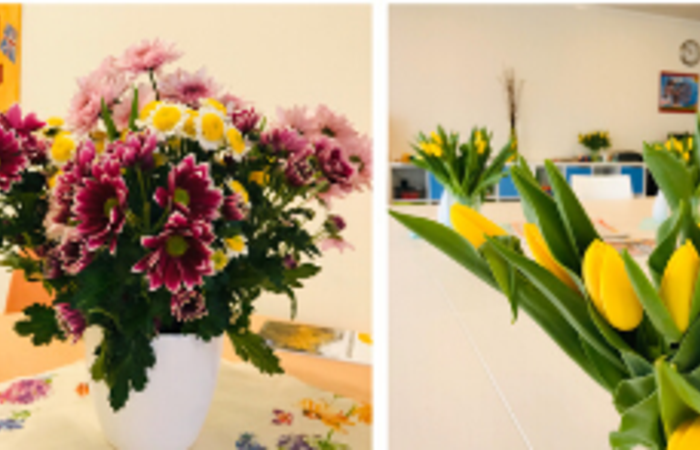 Eine bunte Blumenspende für unser Haus Beerboom 