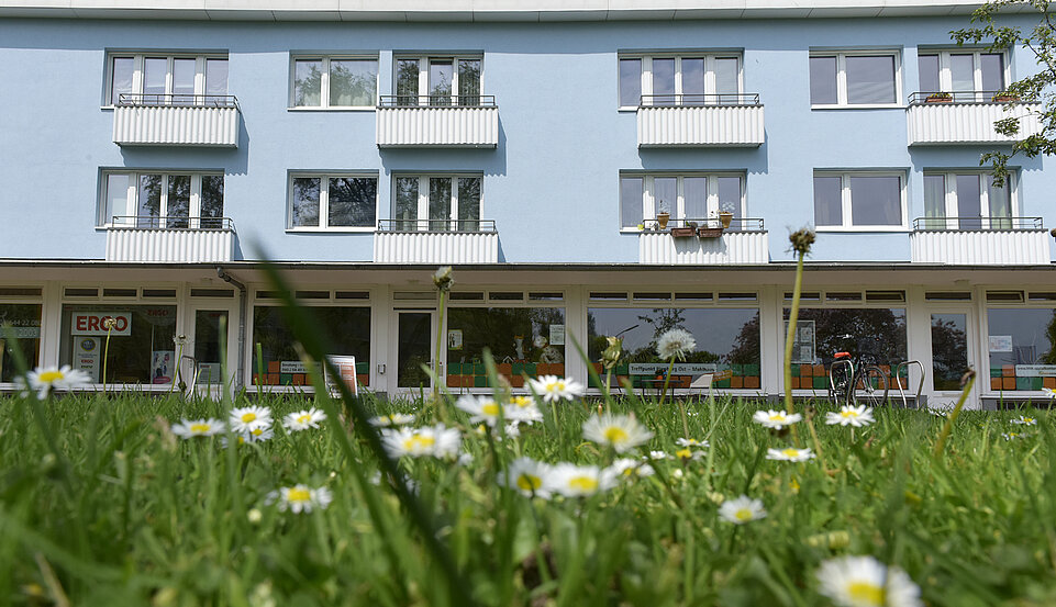 Treffpunkt vom Weiten. Mit Blick auf ein Stück Wiese und die Hausfront.