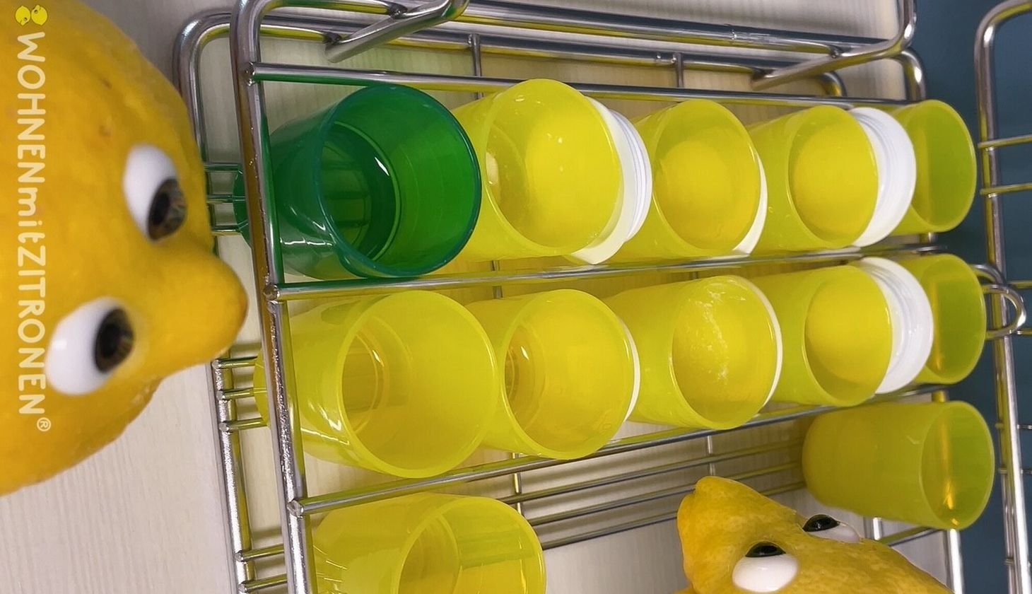 Zwei Zitronen mit aufgeklebten Augen