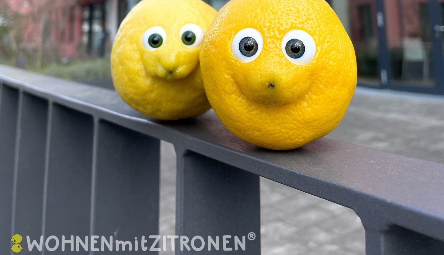 Zwei Zitronen mit aufgeklebten Augen