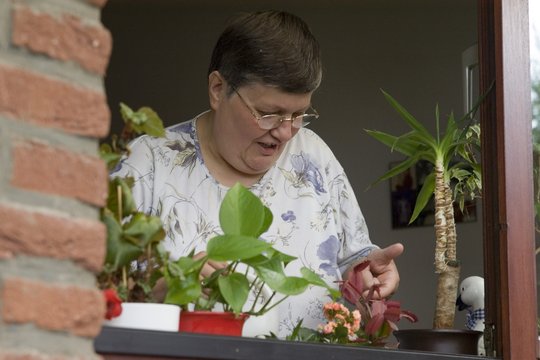 Frau an einem Fenster, pflegt Pflanzen 