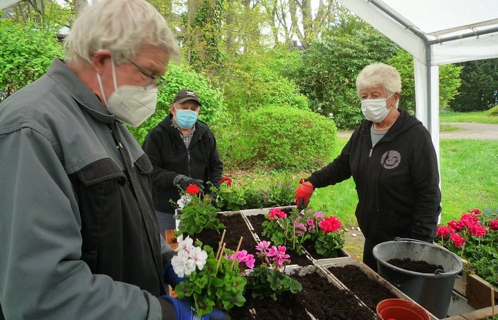 Pflanzaktion im Senator-Neumann-Haus